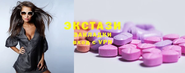 дмт Богородск