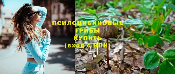 бутират Богданович