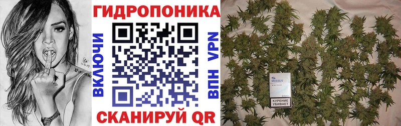 Канабис White Widow  Коряжма 